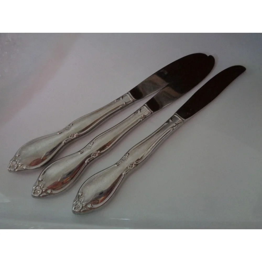 Oneida Community Stainless 9 pieces Dinner Forks Spoons Flatware Chatelaine
